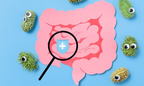 Choroby jelitowe – objawy, diagnostyka, leczenie i dieta